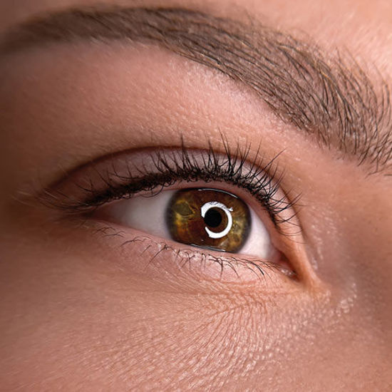 Nahaufnahme eines braunen Auges mit detaillierter Darstellung der Iris, Wimpern und Augenbraue. In der Pupille spiegelt sich ein ringförmiges Licht.