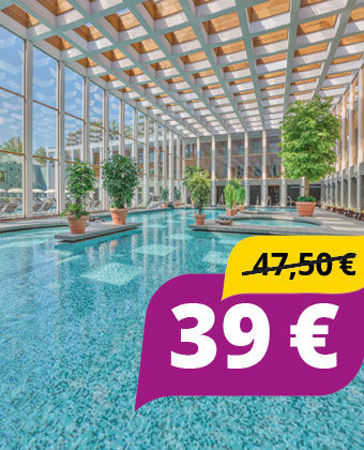 Bild für Kategorie Frühbucher-Spar-Ticket